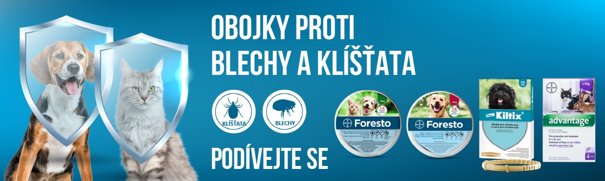 Blechy a klíšťata - 13.02.2025