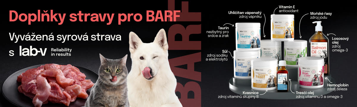 lab-v barf 03-02-2026