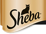 Sheba Sheba