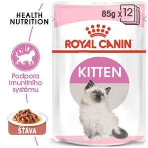 ROYAL CANIN Kitten STAVA 12x85g