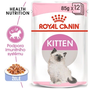 ROYAL CANIN Kitten Gelee 12x85g
